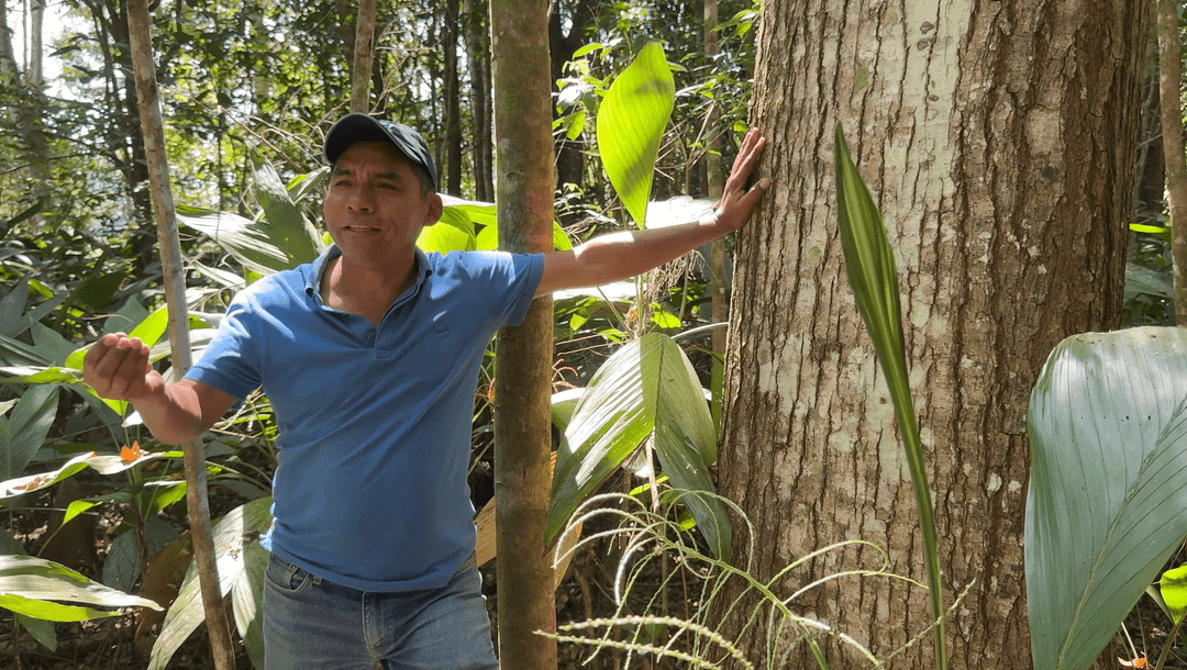 Bulk investment opportunities