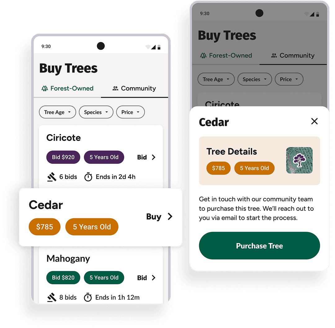 Technology partnership