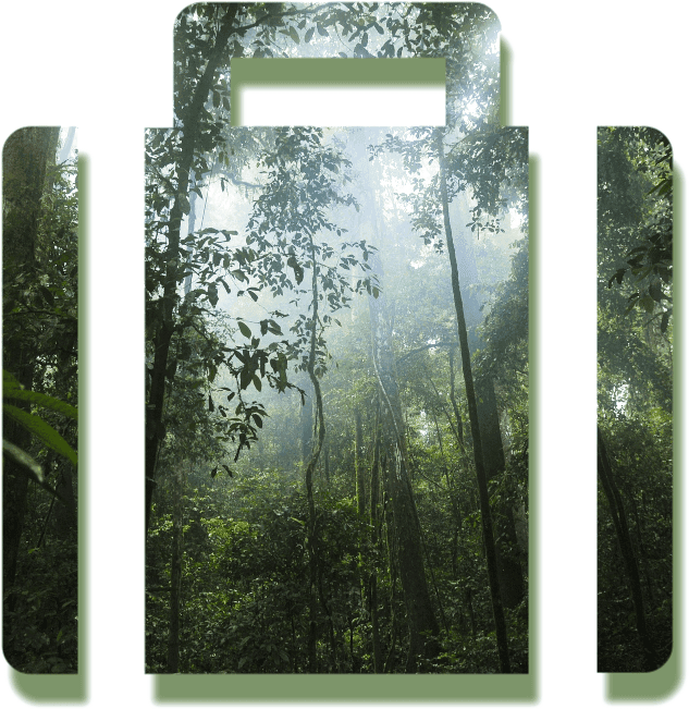 Business investment opportunities