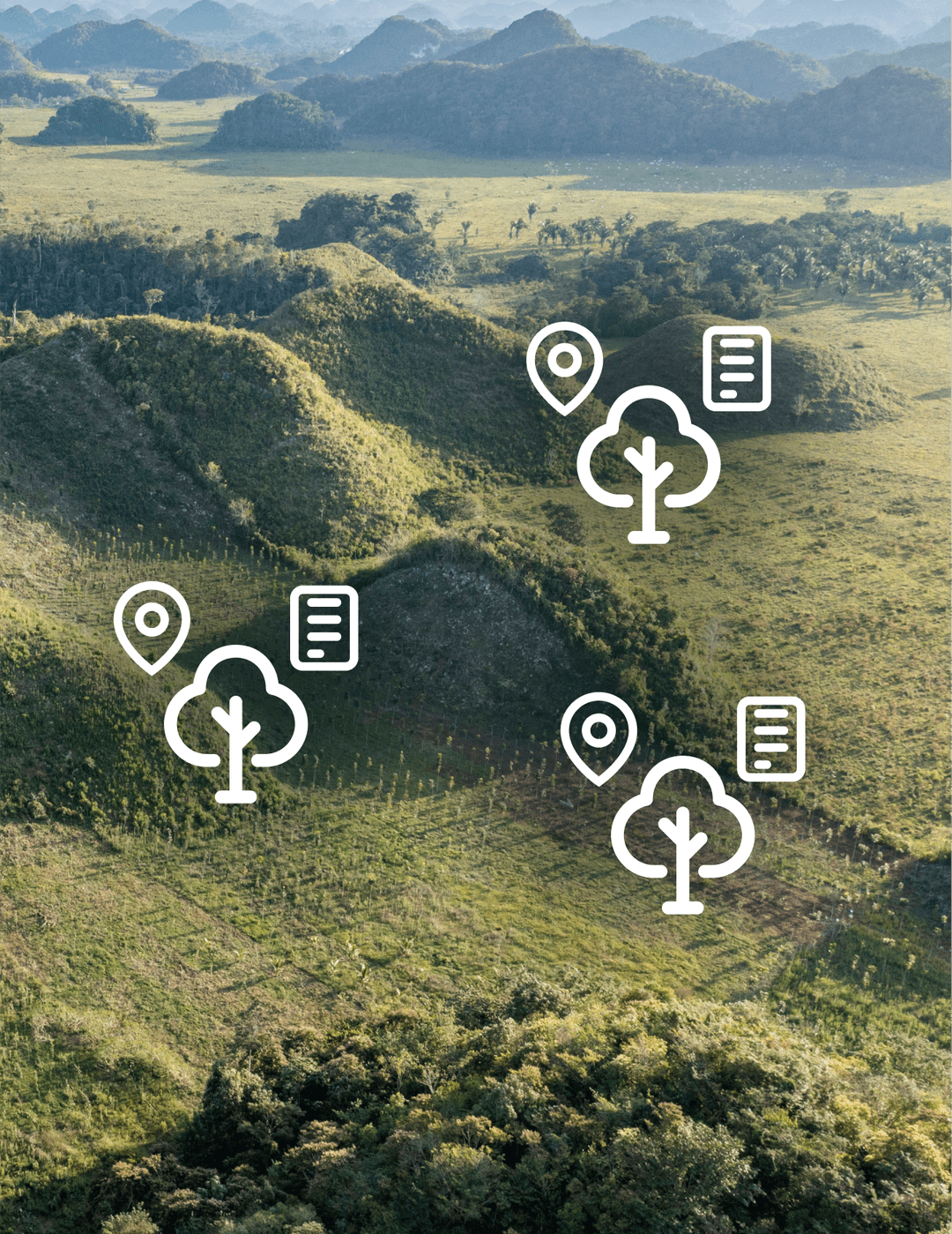 GPS-mapped trees at Las Azucenas showing individual tree tracking