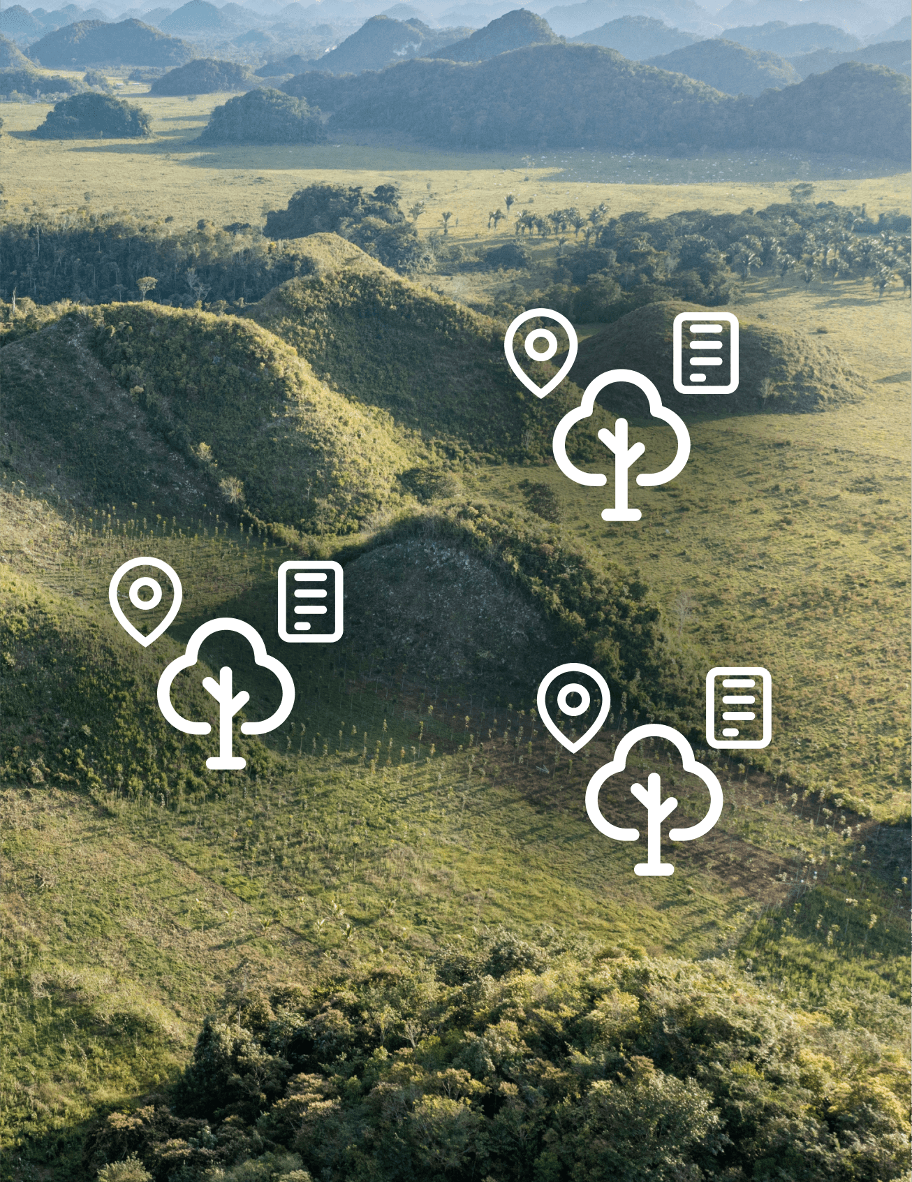 GPS-Tracked Tree Management