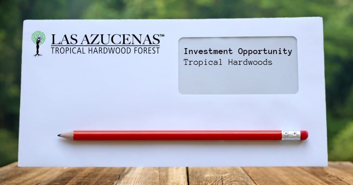 Letter from Our Co-Founder