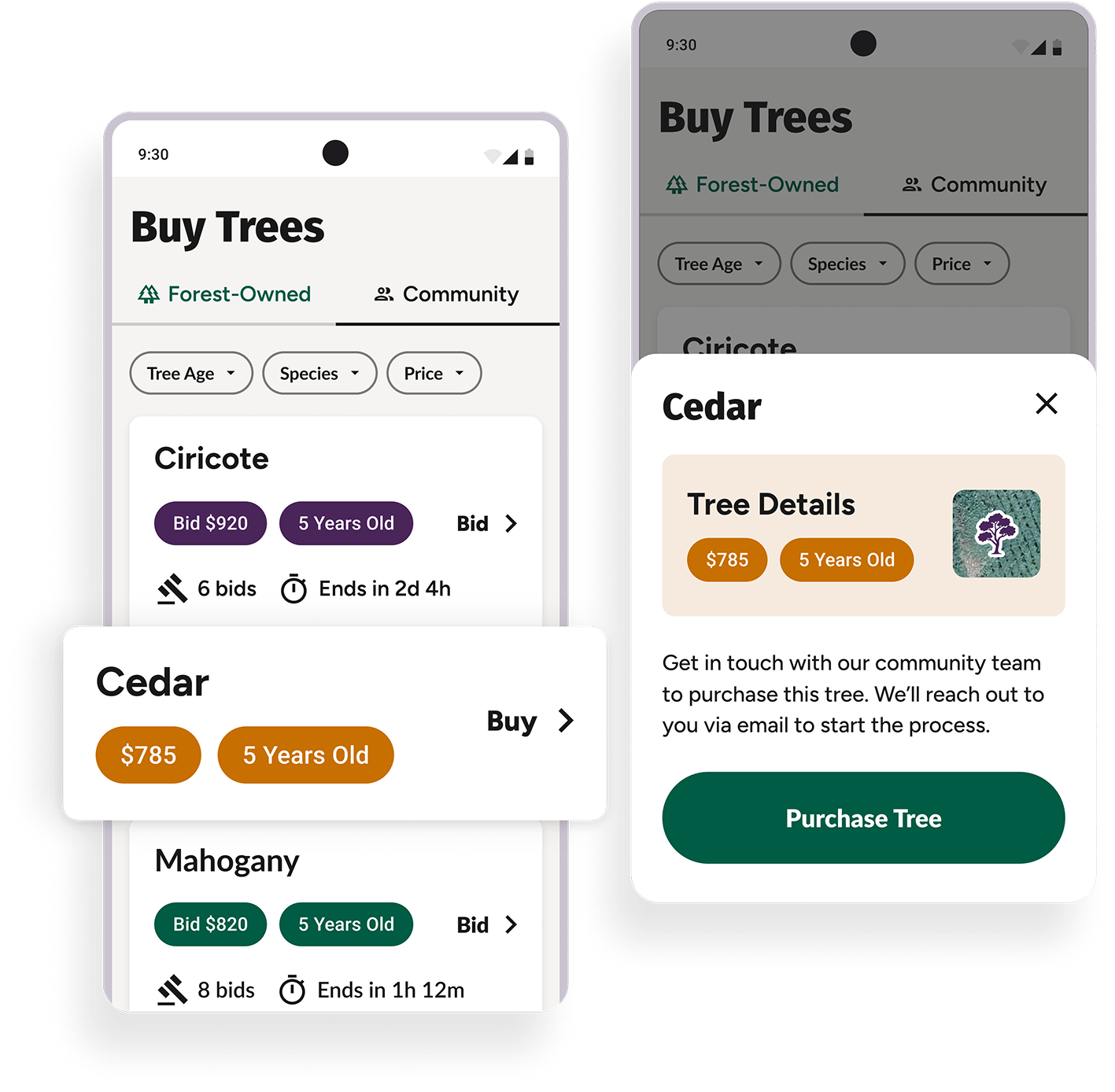Start Your Purchase Process
