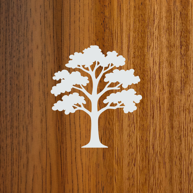 Mahogany tree